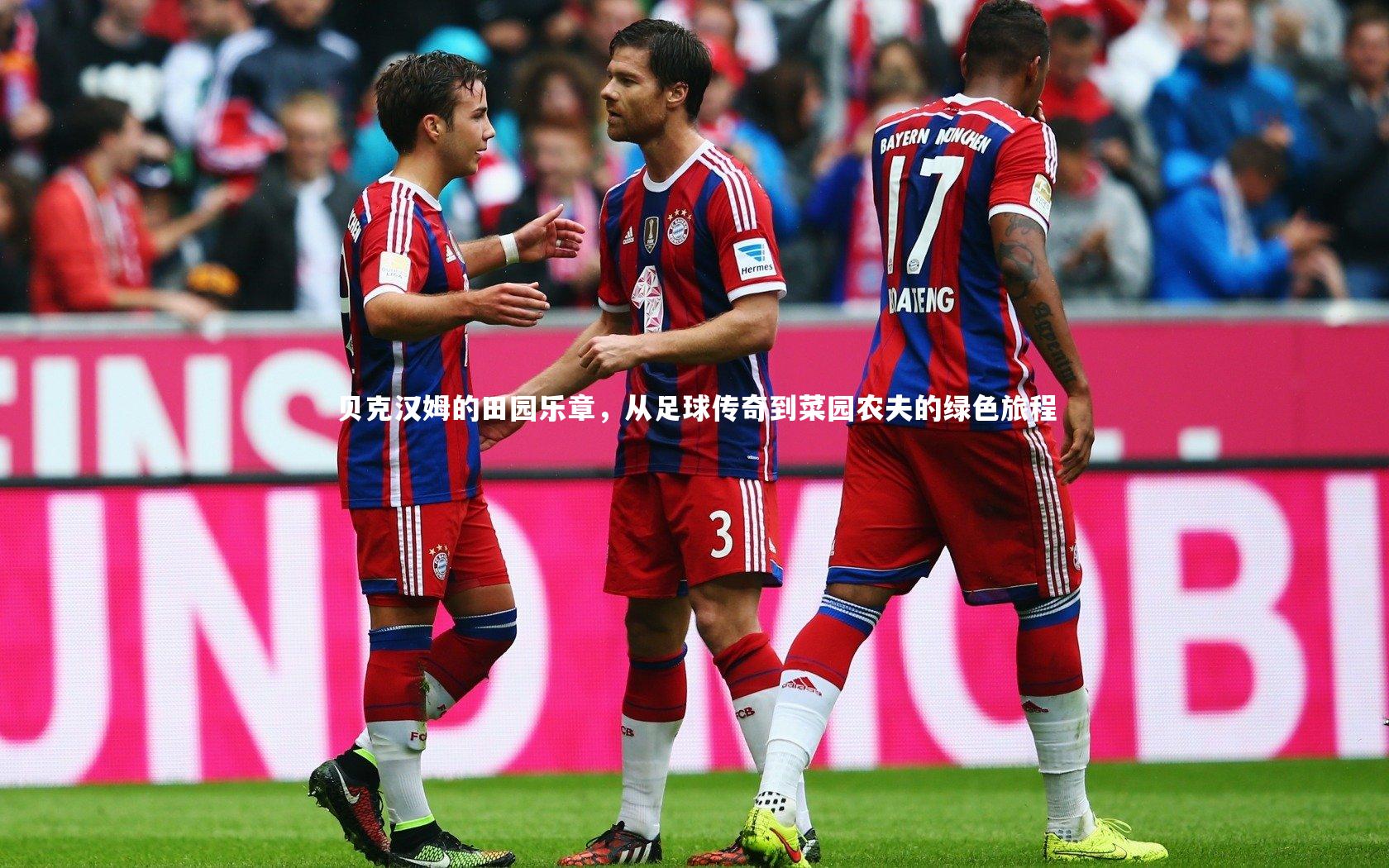 贝克汉姆的田园乐章，从足球传奇到菜园农夫的绿色旅程